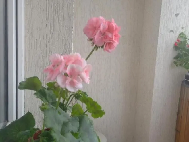 New новобудова стрийська наукова автовокзал гашека ашан кінг-крос епіцентр *