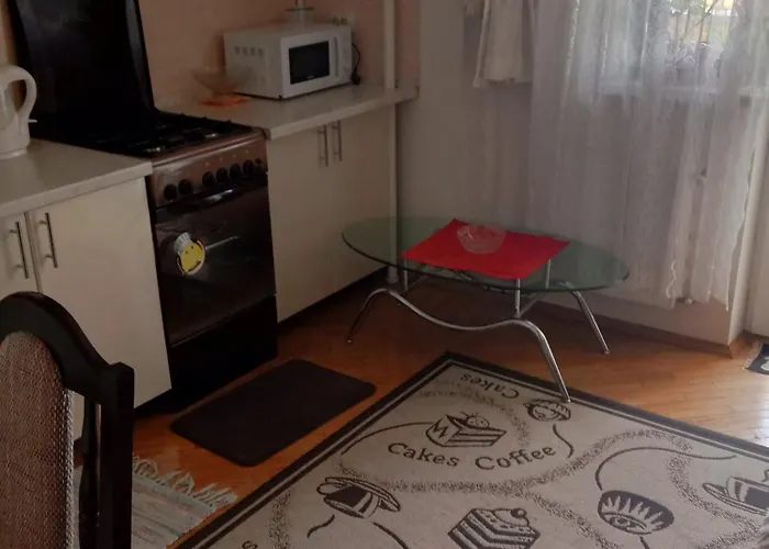 Apartament New новобудова стрийська наукова автовокзал гашека ашан кінг-крос епіцентр *